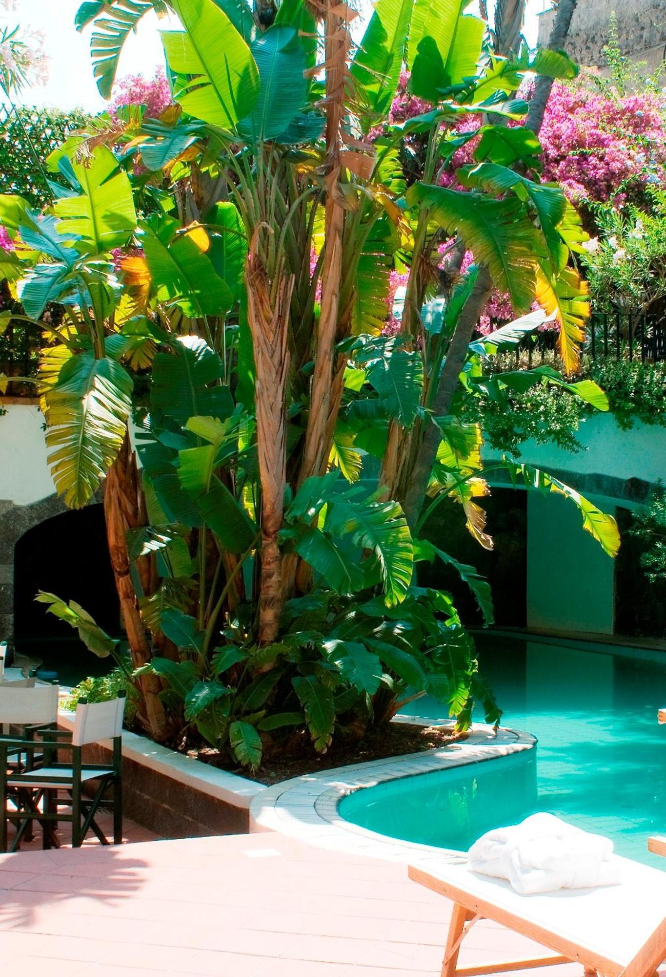 Hotel La Villarosa Terme Ischia Dış mekan fotoğraf