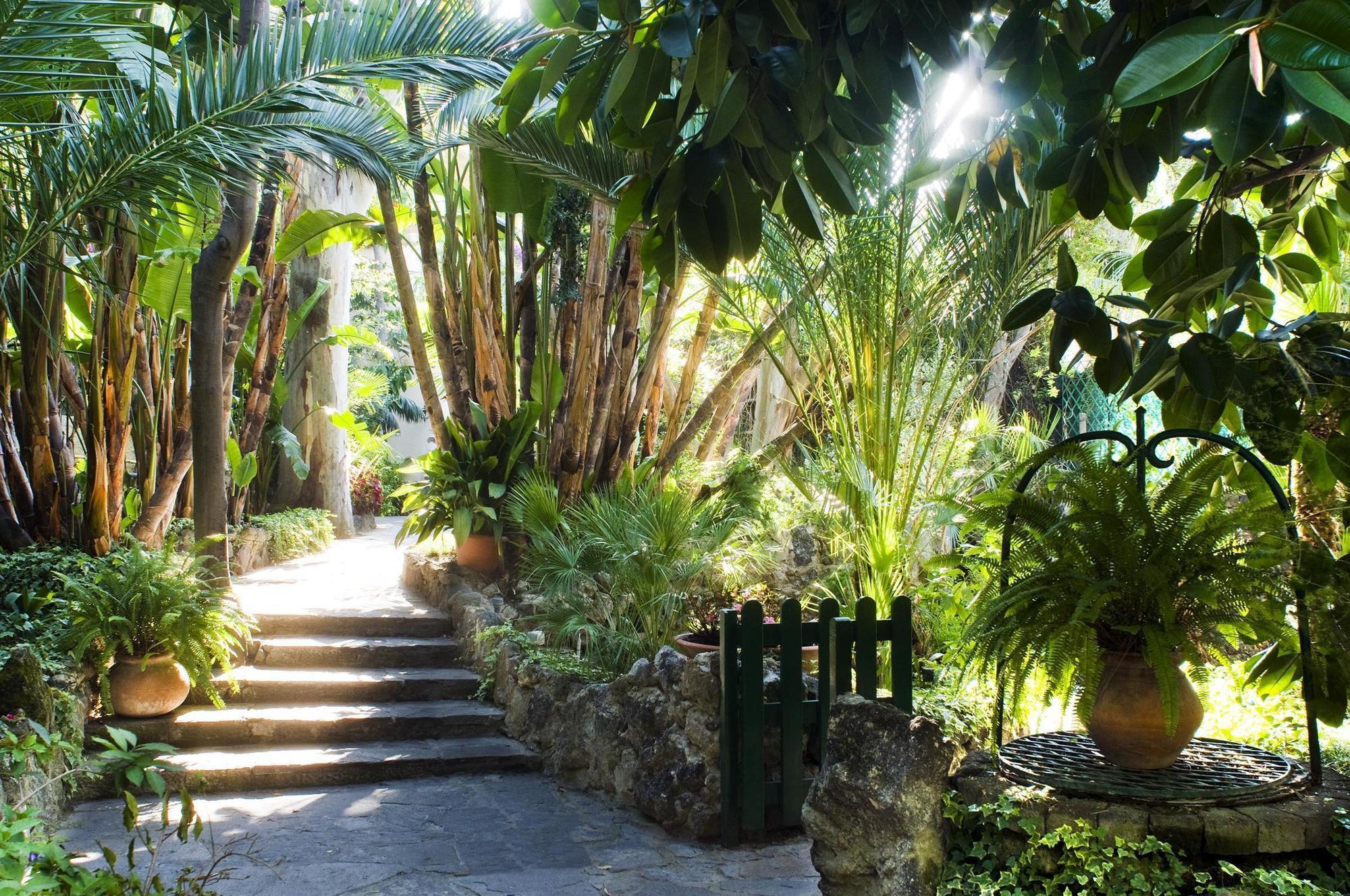 Hotel La Villarosa Terme Ischia Dış mekan fotoğraf